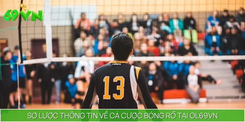 Sơ lược thông tin về cá cược bóng rổ tại 69VN