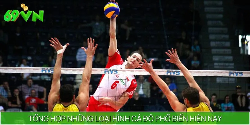Tổng hợp những loại hình cá độ phổ biến hiện nay