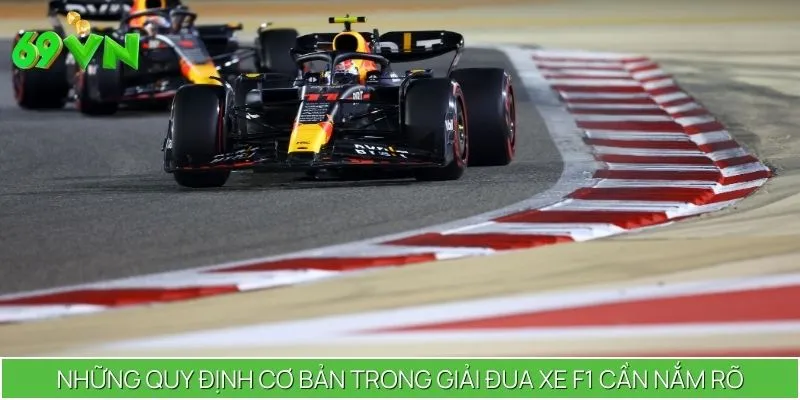 Những quy định cơ bản trong giải đua xe F1 cần nắm rõ