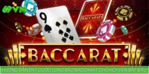 Hướng Dẫn Đặt Cược Long Bảo Baccarat Cho Hội Viên Bắt Đầu